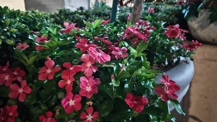 Nothing Phone (3): ניסיון ראוי להערכה