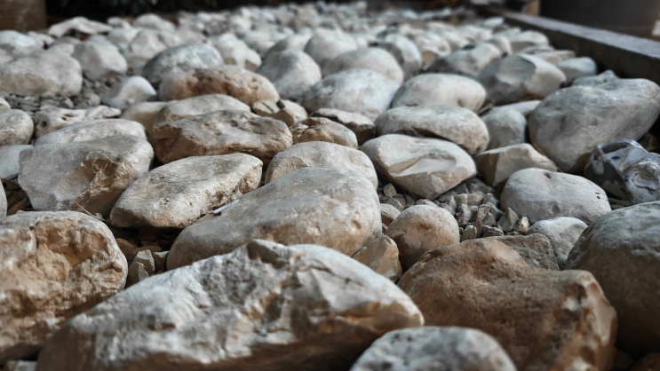 Nothing Phone (3): ניסיון ראוי להערכה