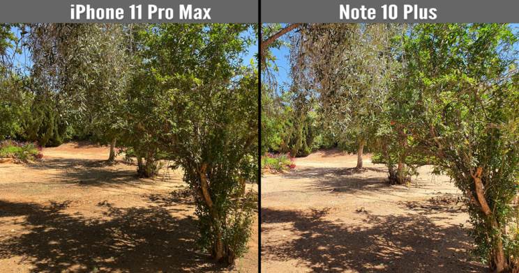 iPhone 11 Pro Max מול Galaxy Note 10 Plus
