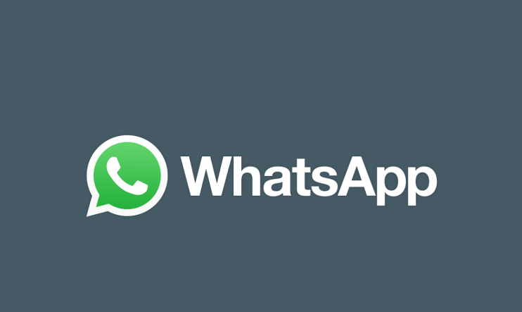 WhatsApp מתעדכנת עם תמיכה בשיחות וידאו/אודיו קבוצתיות