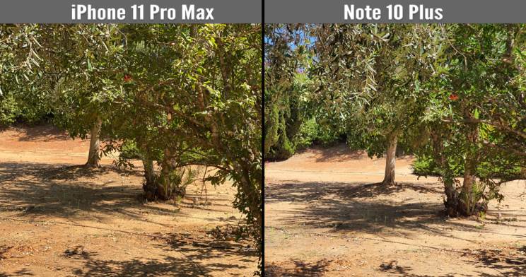 iPhone 11 Pro Max מול Galaxy Note 10 Plus
