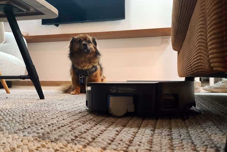 ECOVACS Deebot X8 Pro Omni: הרובוט עם הרולר