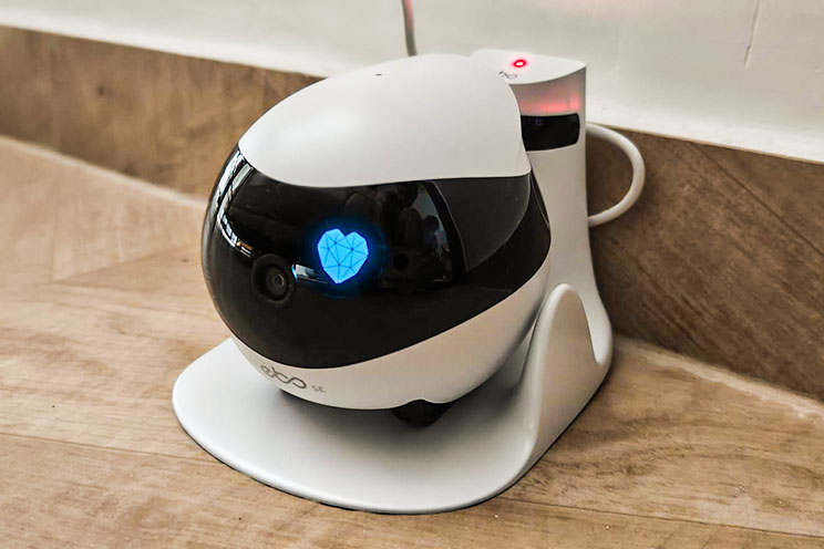 Enabot EBO SE FamilyBot - האם הרובוט החמוד הזה שווה את המחיר?