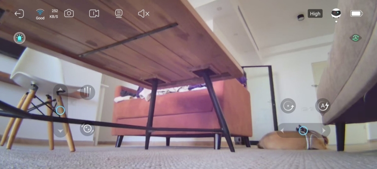 Enabot EBO SE FamilyBot - האם הרובוט החמוד הזה שווה את המחיר?