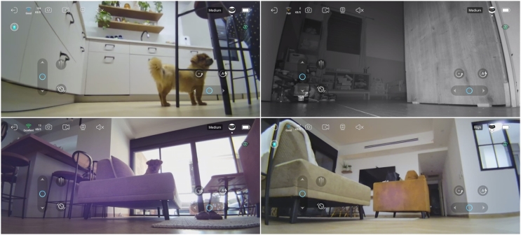 Enabot EBO SE FamilyBot - האם הרובוט החמוד הזה שווה את המחיר?